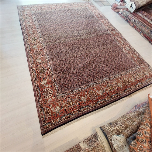 Persisk Bidjar 250x345 cm