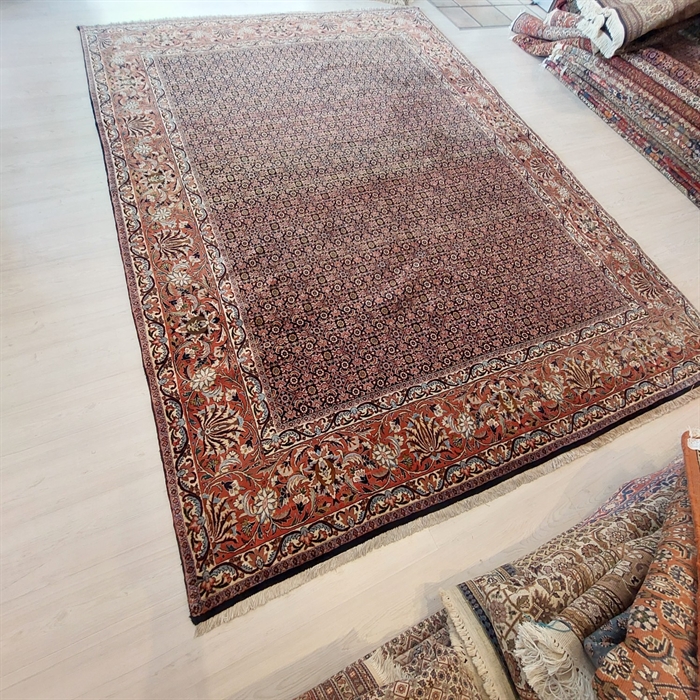 Persisk Bidjar 250x345 cm
